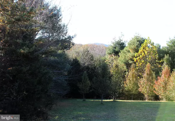 Madison, VA 22727,LOT 3 N SEMINOLE TRL