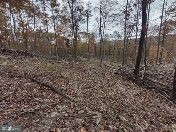 Big Cove Tannery, PA 17212,1854 MOUNTAIN RIDGE RD