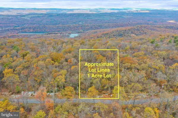 Winchester, VA 22602,56 BEAR TRAIL