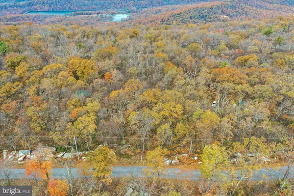 Winchester, VA 22602,LOT 56 BEAR TRAIL