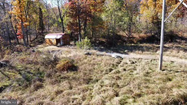 Capon Bridge, WV 26711,LOT G MAYFLOWER DR