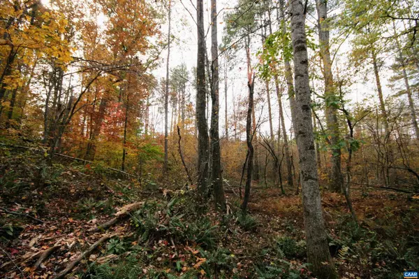 Arvonia, VA 23004,TBA RIDGE RD #1