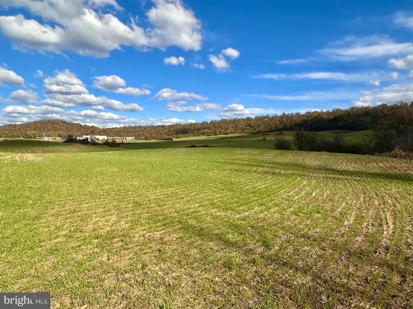 Hancock, MD 21750,14732 WARFORDSBURG RD