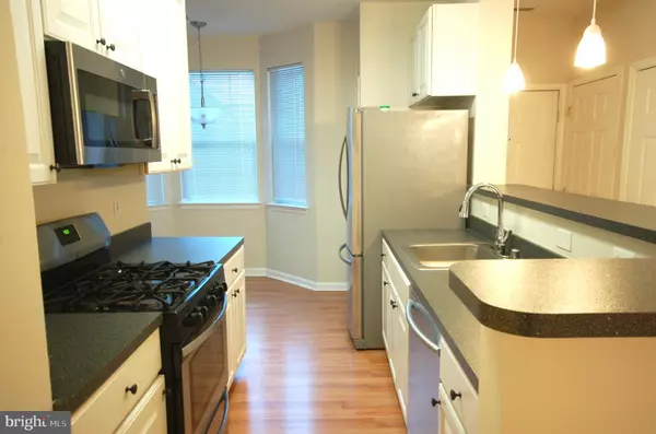 Owings Mills, MD 21117,18 HAWK RISE LN #205