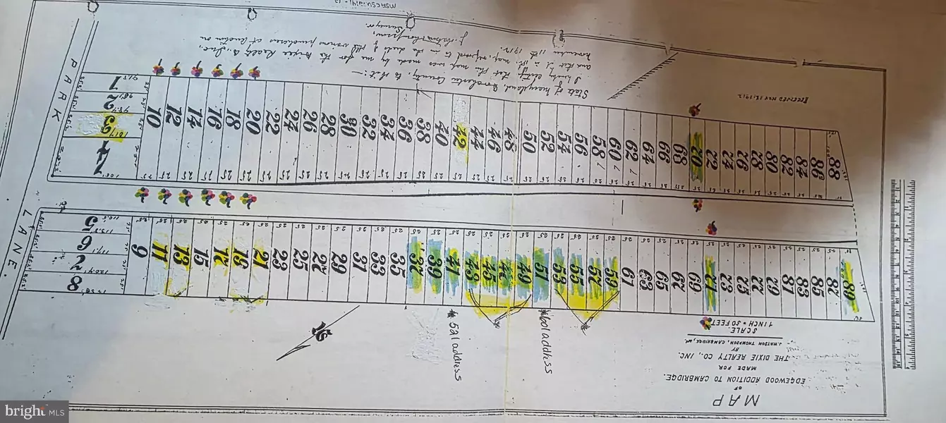 EDGEWOOD AVE, Cambridge, MD 21613