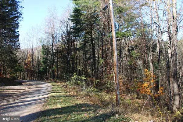 Elkton, VA 22827,OVERLOOK MOUNTAIN RD