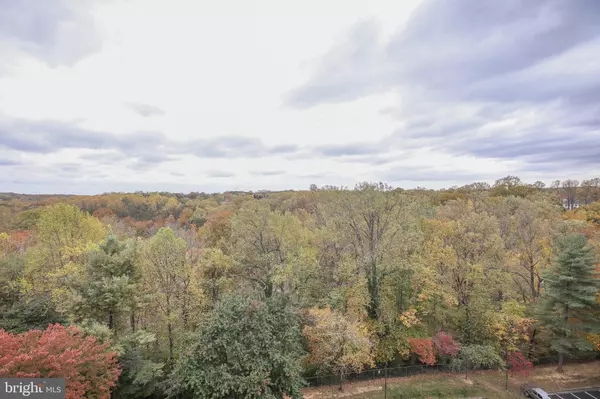 Falls Church, VA 22041,3800 POWELL LN #1121