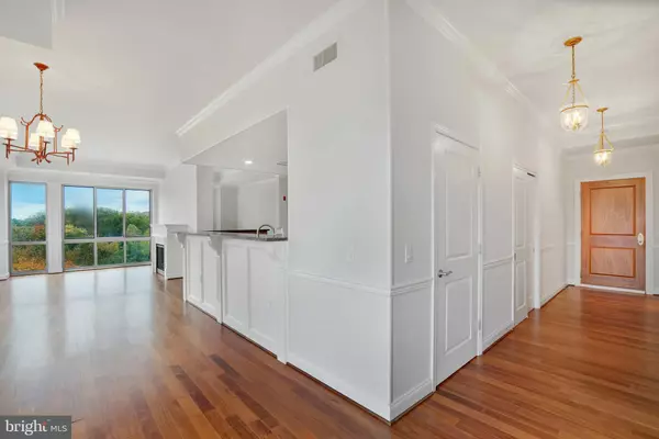 Falls Church, VA 22046,513 W BROAD ST #702