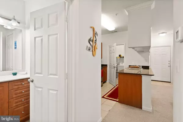 Fairfax, VA 22030,12128 GARDEN RIDGE LN #203