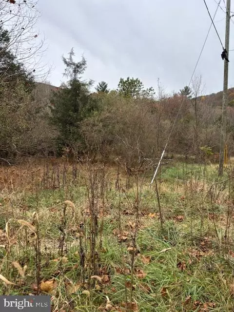 Lost City, WV 26810,WILDLIFE DR