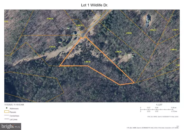 Lost City, WV 26810,WILDLIFE DR