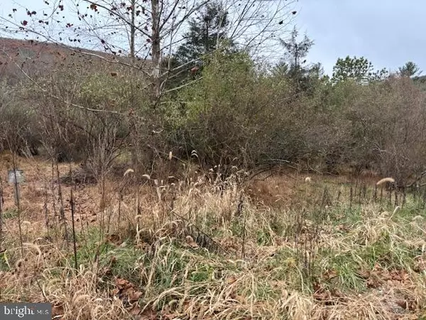 Lost City, WV 26810,WILDLIFE DR