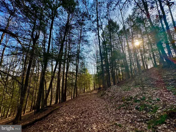 Albright, WV 26519,LOT 30 WILD FLOWER WAY