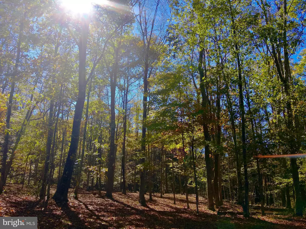 Albright, WV 26519,LOT 30 WILD FLOWER WAY