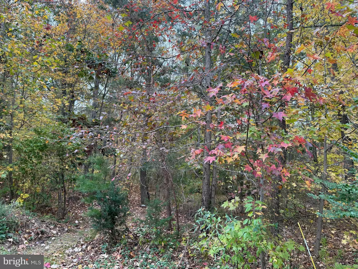 West River, MD 20778,5162 CEDARLEA DR