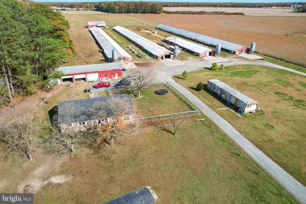 Greenwood, DE 19950,2919 ANDREWVILLE RD