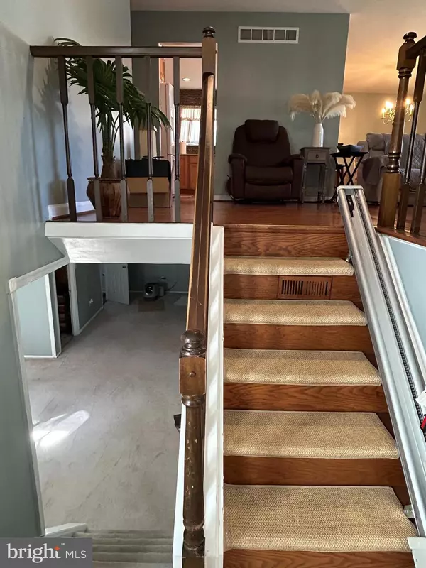 Newark, DE 19702,116 KANE DR