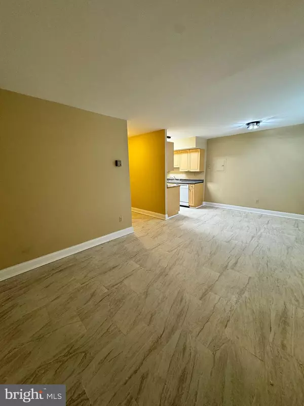 Hyattsville, MD 20782,1009 CHILLUM RD #110