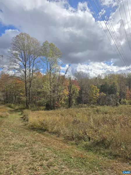 LOT C SYCAMORE LN, Ruckersville, VA 22968