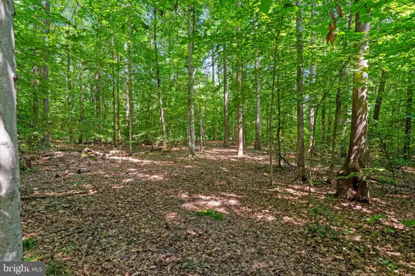 Spotsylvania, VA 22551,8911 MILLWOOD DR