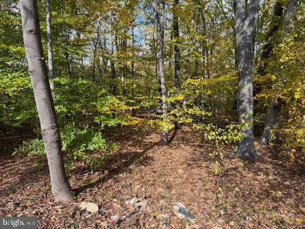 Newark, DE 19702,12 PLEASANT WOOD RD