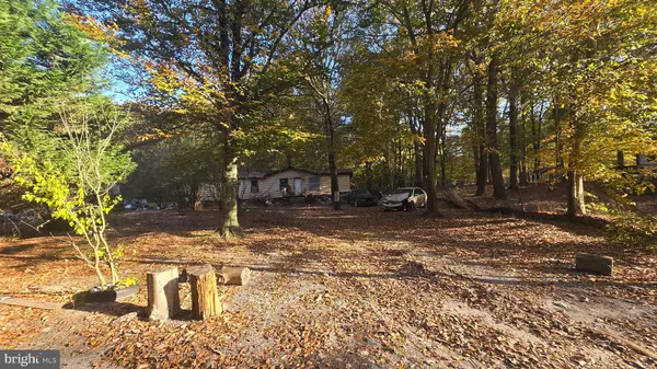 Bridgeville, DE 19933,21831 MILL PARK DR