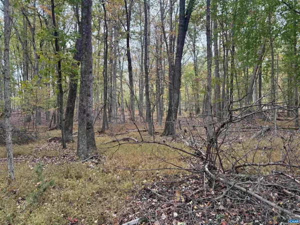 Gordonsville, VA 22942,SAINT JOHN RD