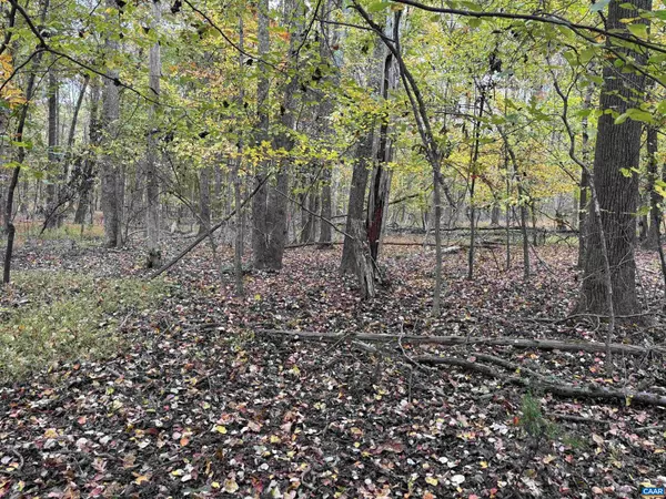 Gordonsville, VA 22942,SAINT JOHN RD