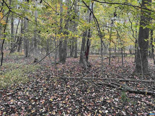 Gordonsville, VA 22942,SAINT JOHN RD