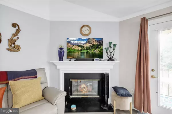 Reading, PA 19610,111 LAVENDER