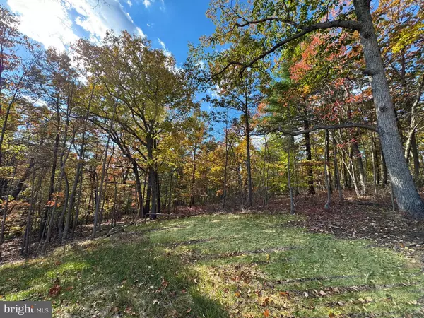 Front Royal, VA 22630,46 MARKHAM PLACE