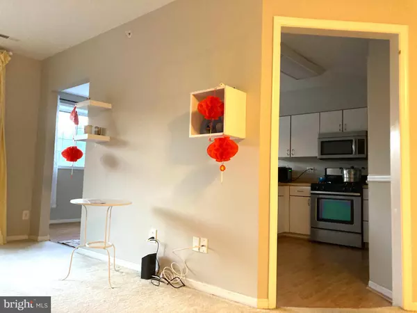 Lutherville Timonium, MD 21093,14 BANDON CT #204