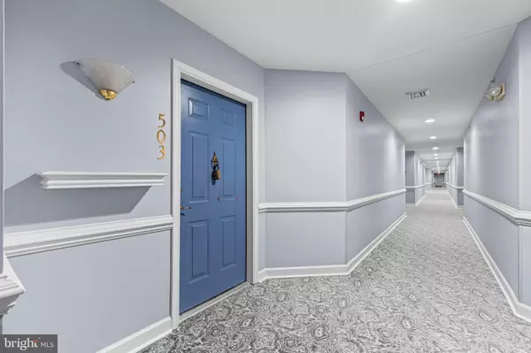 Lutherville Timonium, MD 21093,12300 ROSSLARE RIDGE RD #503