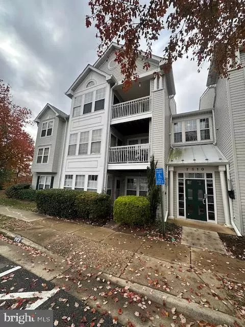 Alexandria, VA 22306,7510 SNOWPEA CT-J SNOWPEA CT #201