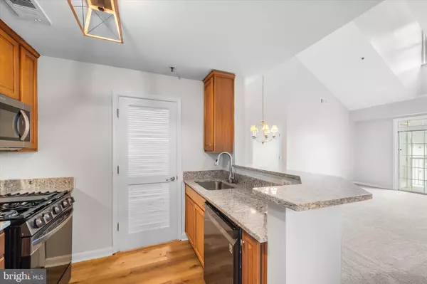 Sterling, VA 20165,21228 MCFADDEN SQ #411