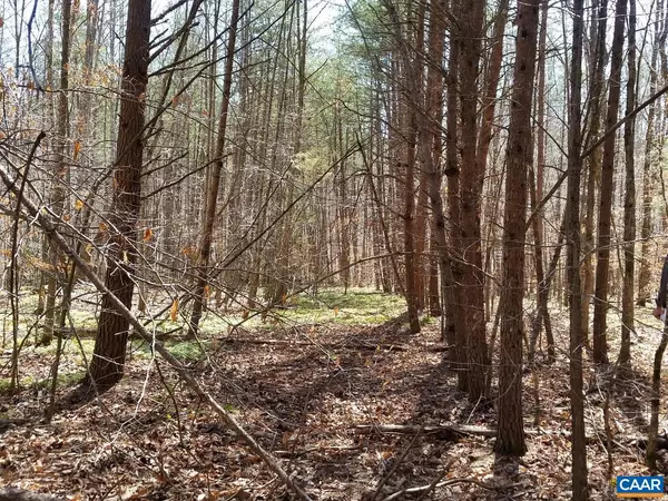 Charlottesville, VA 22901,2647 PENNY LN