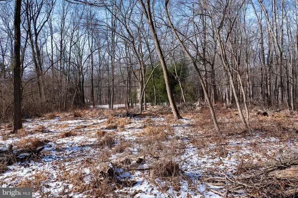 Hopewell, NJ 08525,LOT 39 STONY BROOK RD