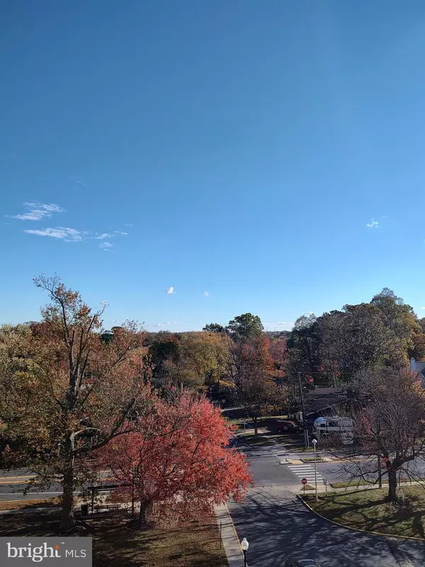 Silver Spring, MD 20902,1111 UNIVERSITY BLVD W #719-A