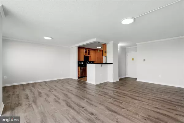 Alexandria, VA 22302,1225 MARTHA CUSTIS DR #919