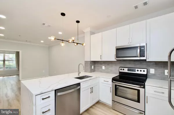 Falls Church, VA 22042,3003 NICOSH CIR #3106