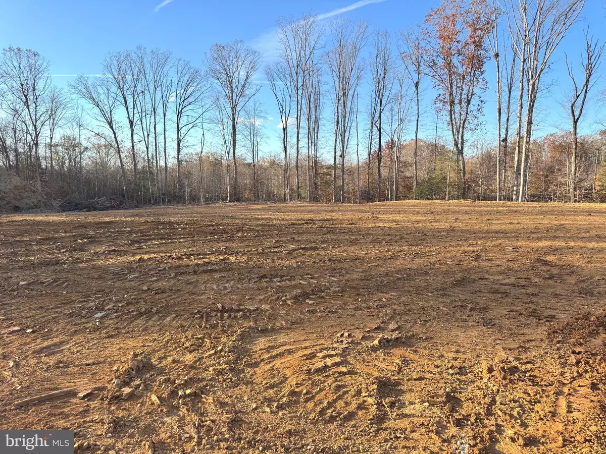 Lignum, VA 22726,LOT 20 RAPIDAN FARMS DRIVE