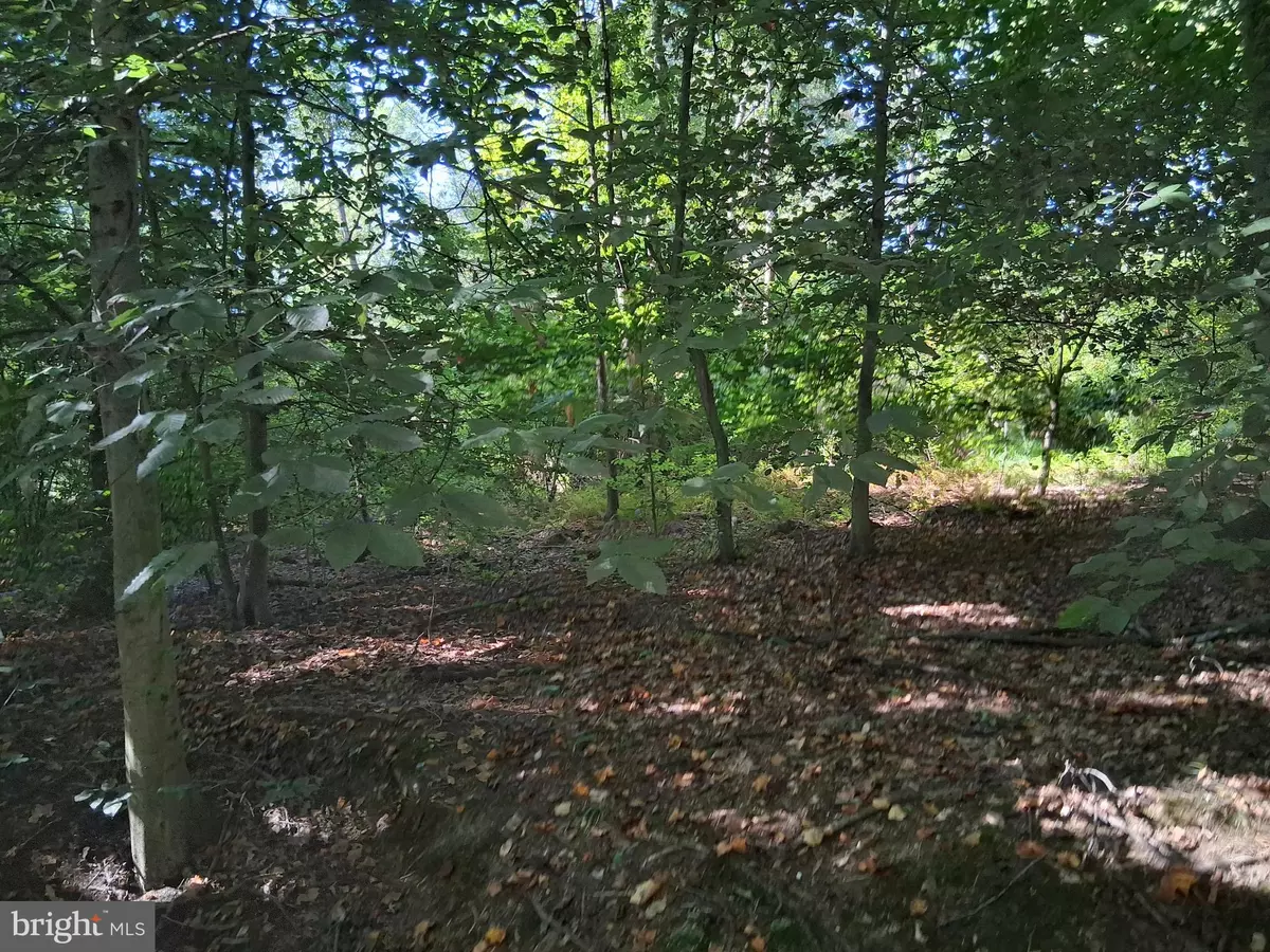 Port Deposit, MD 21904,419 COKESBURY RD