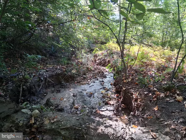 Port Deposit, MD 21904,419 COKESBURY RD