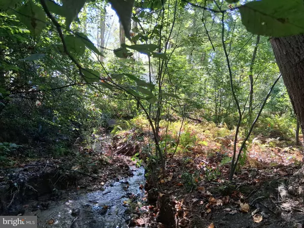 Port Deposit, MD 21904,419 COKESBURY RD