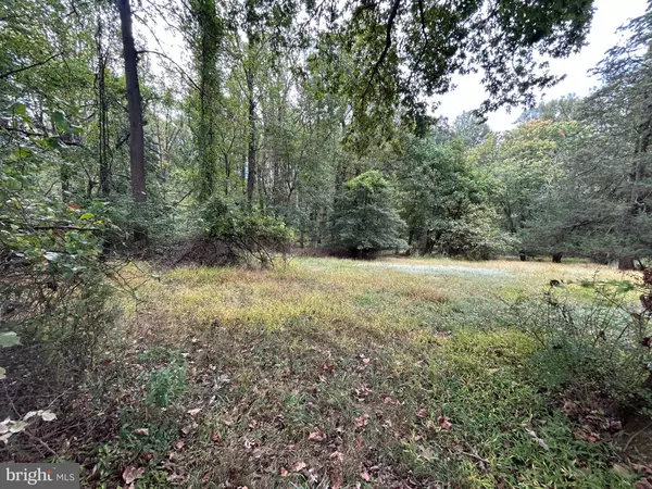 Silver Spring, MD 20905,15325 HOLLY GROVE RD