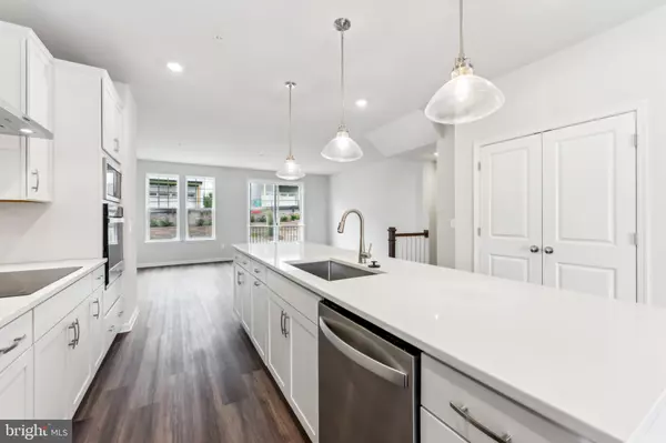 Damascus, MD 20872,26476 SIR JAMIE TER