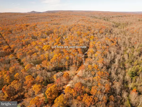 Oakland, MD 21550,LOT 40 BIG PINEY DR