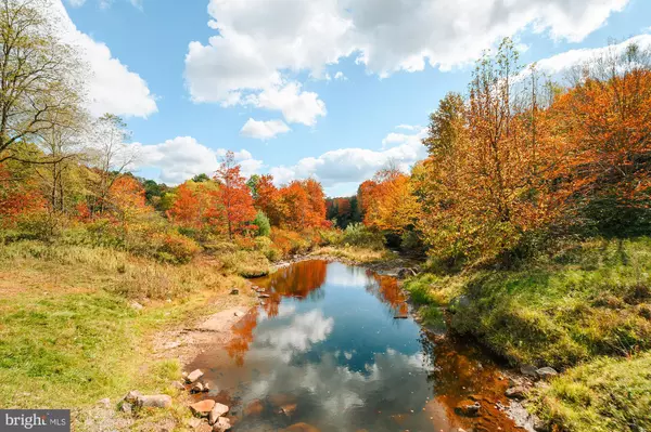 Oakland, MD 21550,LOT 40 BIG PINEY DR