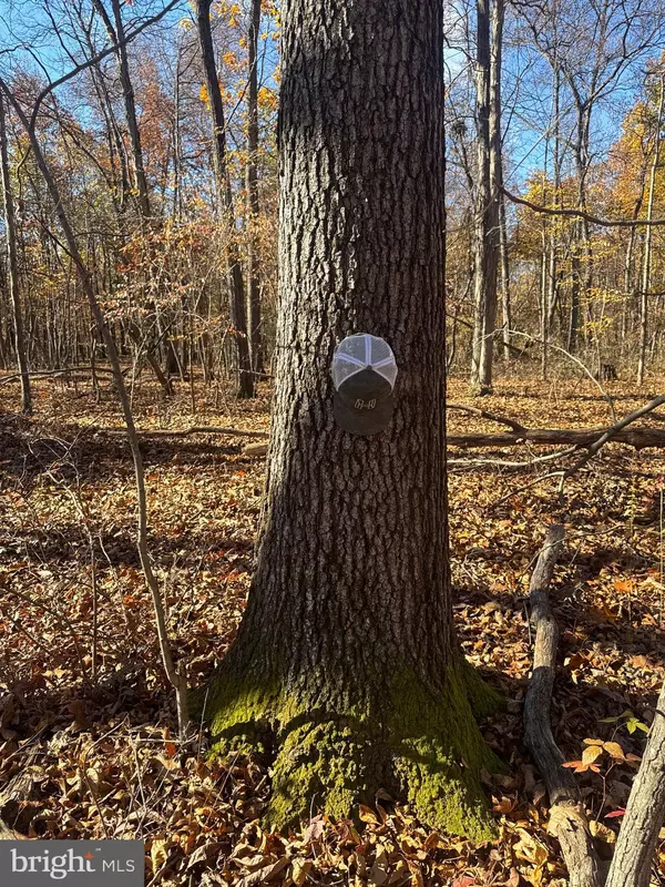 York Springs, PA 17372,TRACT 2: 27.15+/- ACRES OLD HARRISBURG RD