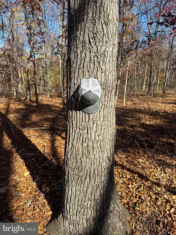 York Springs, PA 17372,TRACT 2: 27.15+/- ACRES OLD HARRISBURG RD